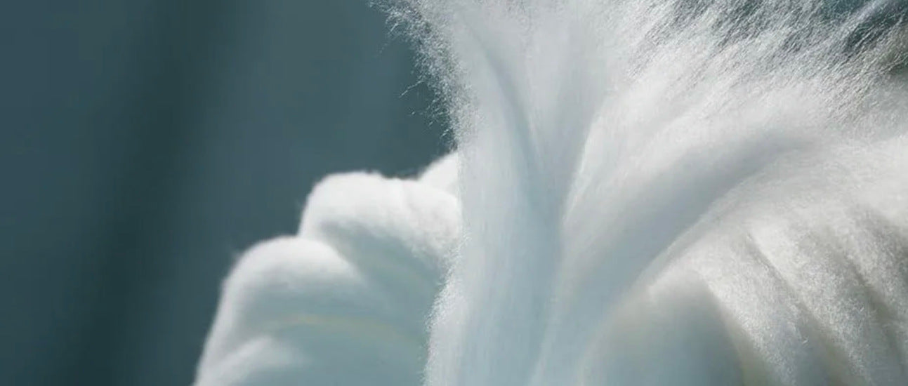 Lyocell-a-fenntartható-divat-hírnöke PatentDuo